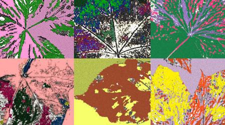 From Automotive to Industrial: How RUBYCON Meets Demanding Specs